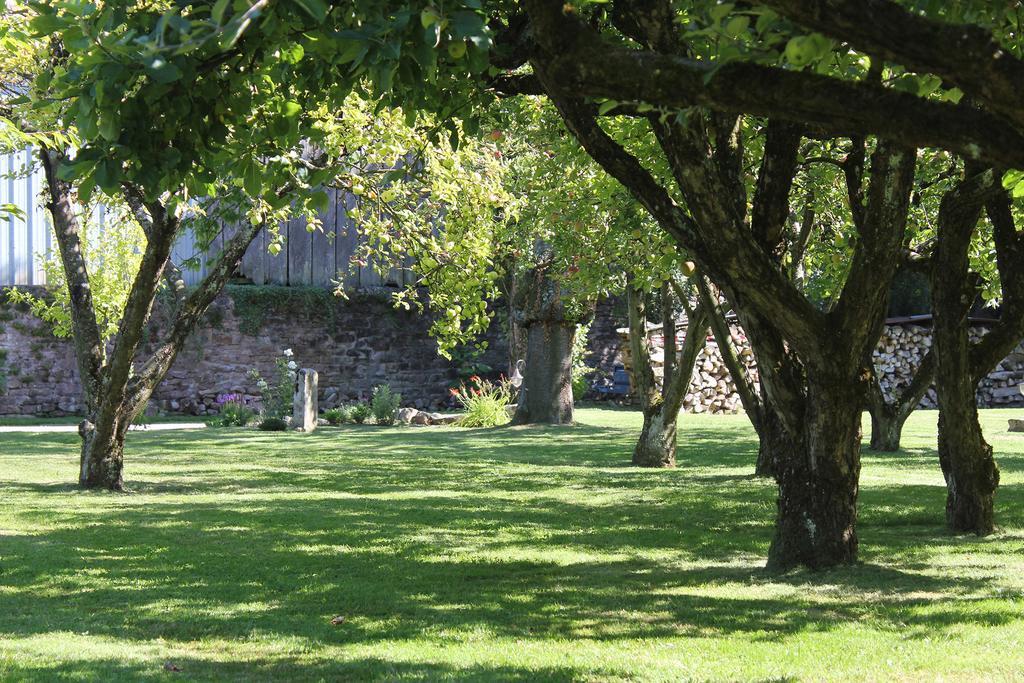 Peintre Le Lavoir Bed & Breakfast エクステリア 写真